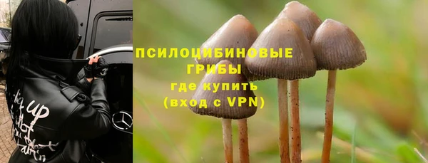 молекула духа Киренск