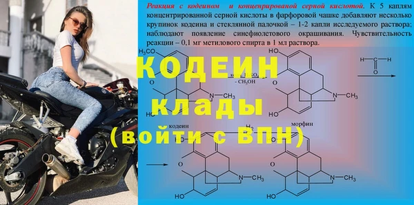 молекула духа Киренск
