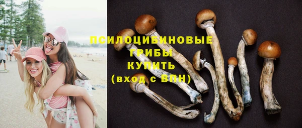 молекула духа Киренск