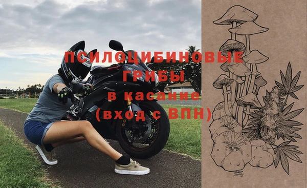 молекула духа Киренск