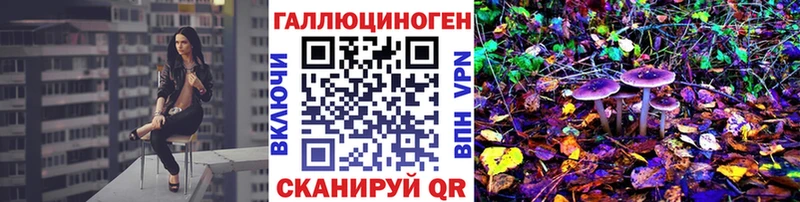 закладки  Старый Оскол  Псилоцибиновые грибы MAGIC MUSHROOMS 
