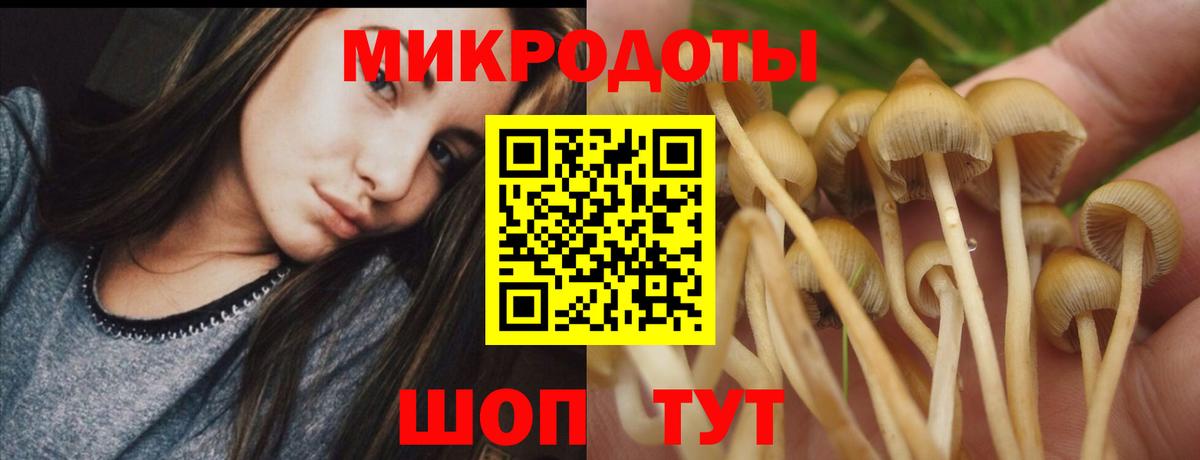 Старый Оскол  что такое наркотик  Вход с VPN  Псилоцибиновые грибы ЛСД  Псилоцибиновые грибы Psilocybine cubensis 